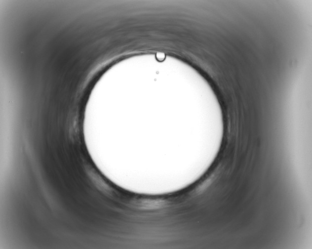 X0000086041498200704091141