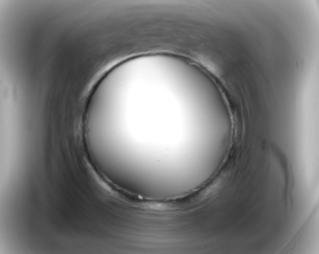 X0000086041500200704091141