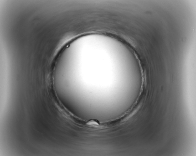 X0000086041501200704091141