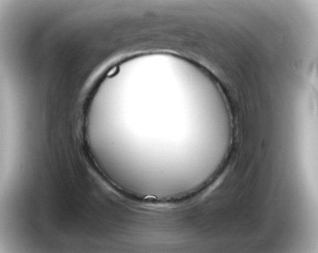 X0000086041502200704091141