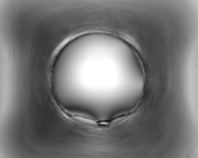 X0000086041504200704091141