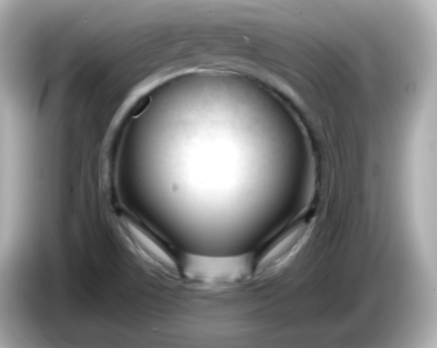 X0000086041506200704091141
