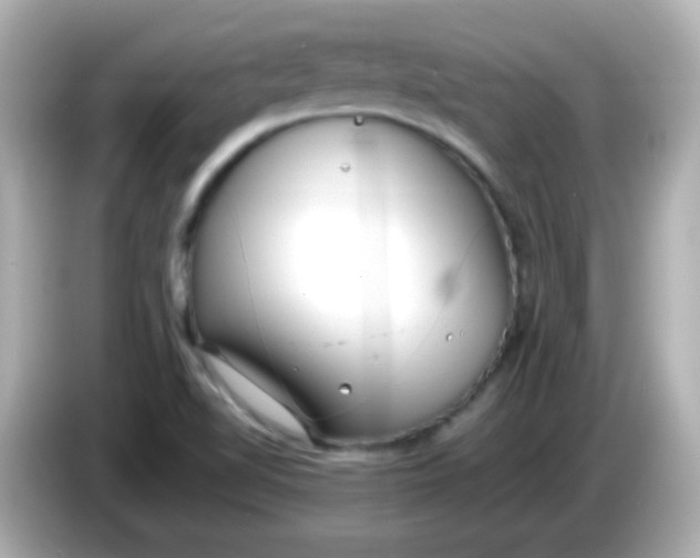 X0000086041510200704091141