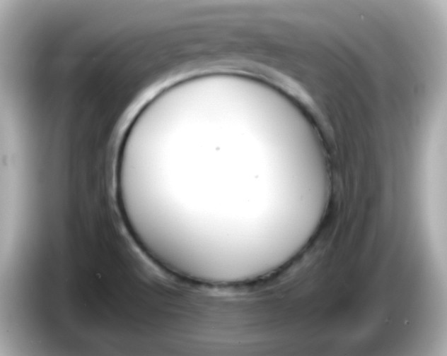 X0000086041512200704091141