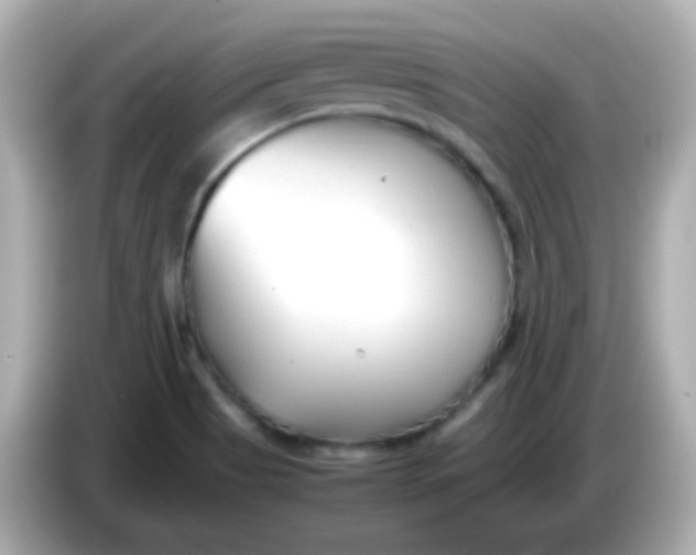 X0000086041513200704091141