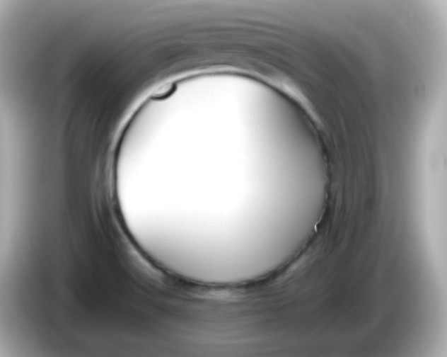 X0000086041516200704091141
