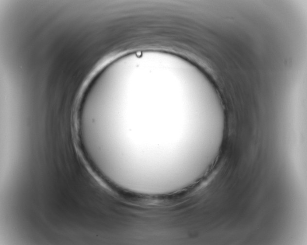 X0000086041517200704091141
