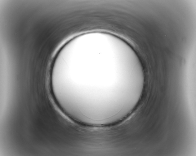 X0000086041518200704091141