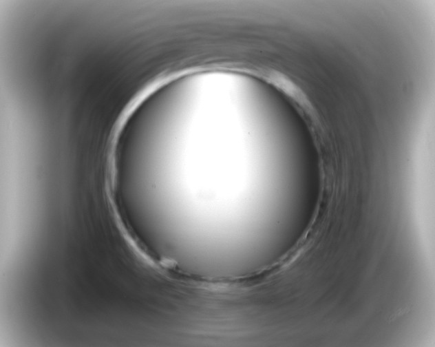 X0000086041520200704091141