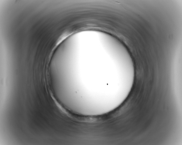 X0000086041521200704091141