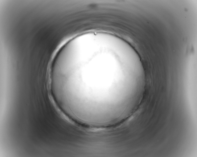 X0000086041522200704091141
