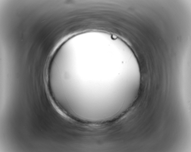X0000086041523200704091141