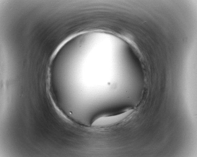 X0000086041524200704091141