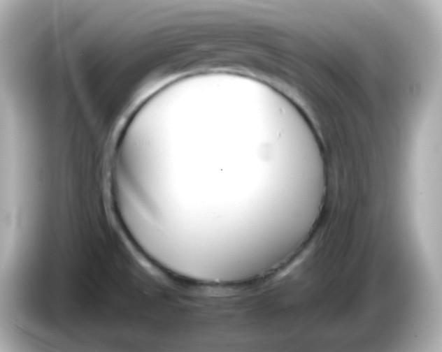 X0000086041525200704091141