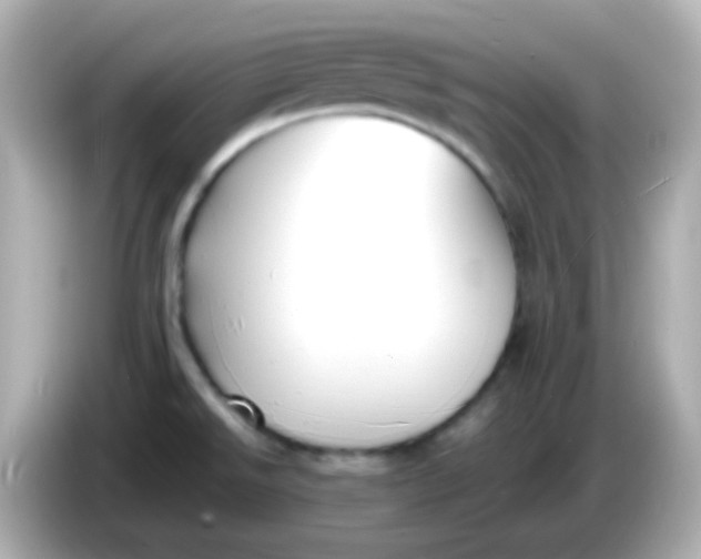 X0000086041526200704091141
