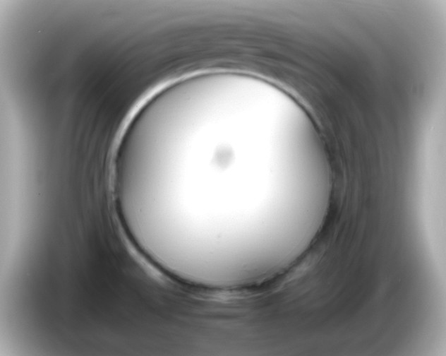 X0000086041527200704091141