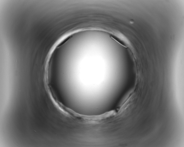 X0000086041528200704091141