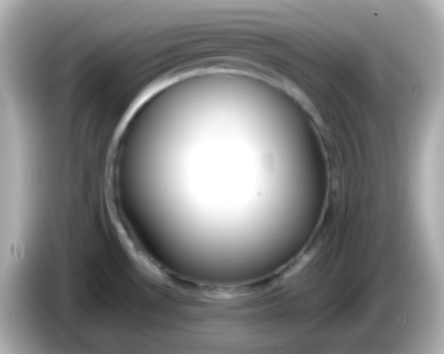 X0000086041530200704091141
