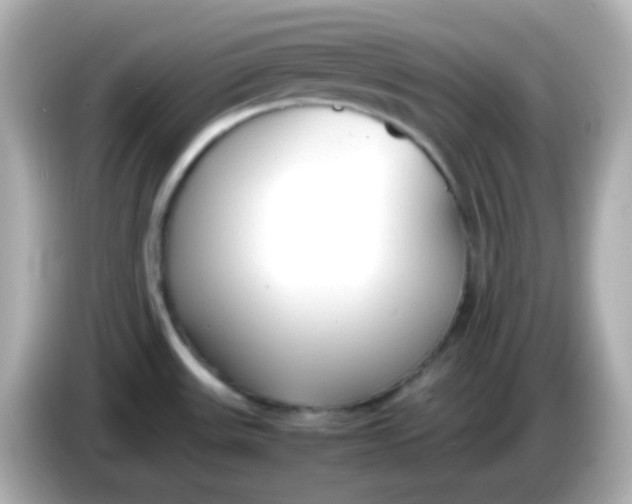 X0000086041531200704091141
