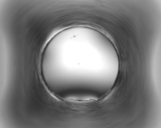 X0000086041533200704091141