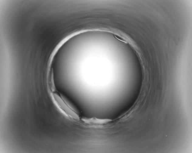 X0000086041536200704091141