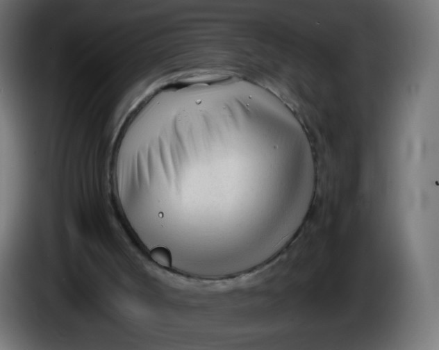 X0000086040002200704131945