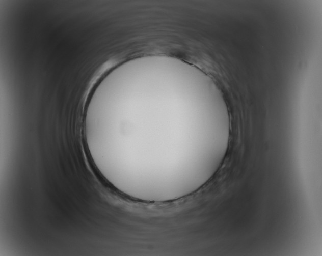 X0000086040003200704131945