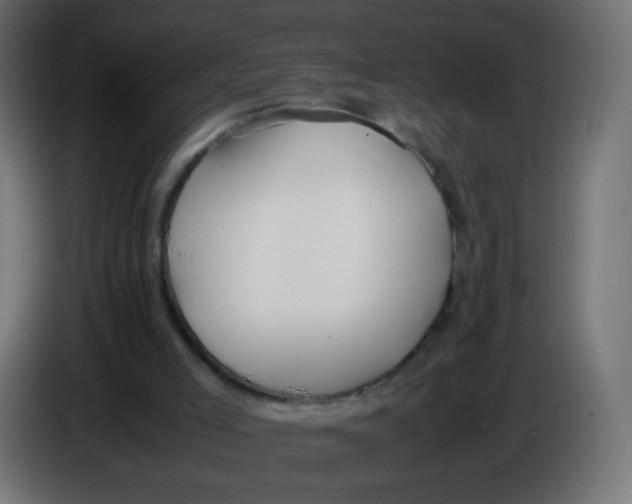 X0000086040005200704131945