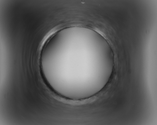 X0000086040007200704131944