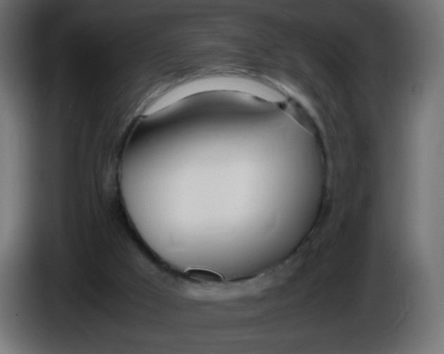 X0000086040009200704131944