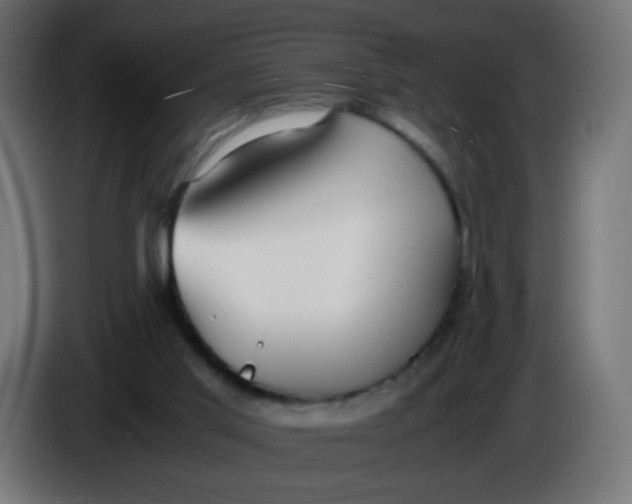 X0000086040013200704131944