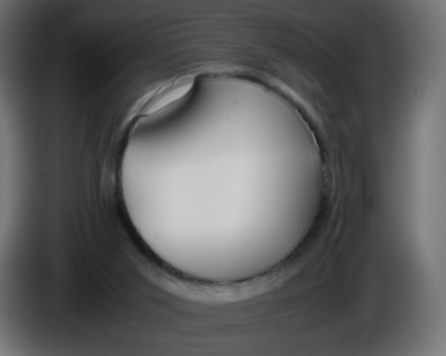 X0000086040015200704131944
