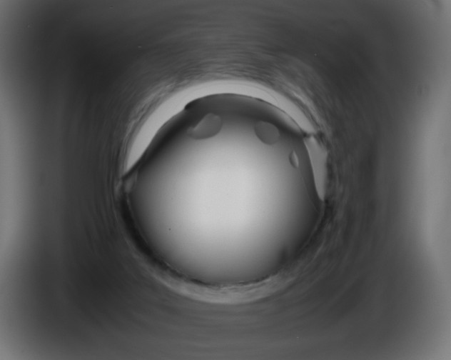 X0000086040019200704131944