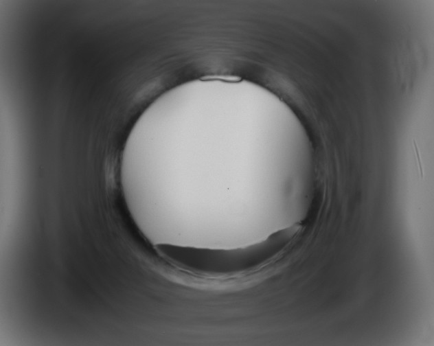 X0000086040023200704131944