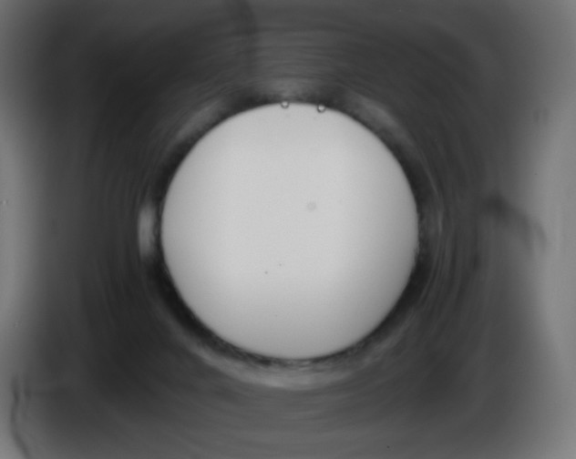 X0000086040024200704131944