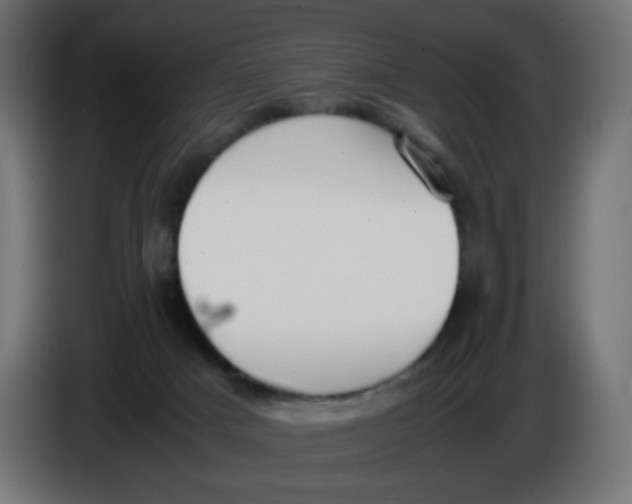 X0000086040025200704131944