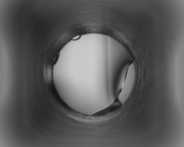 X0000086040027200704131944