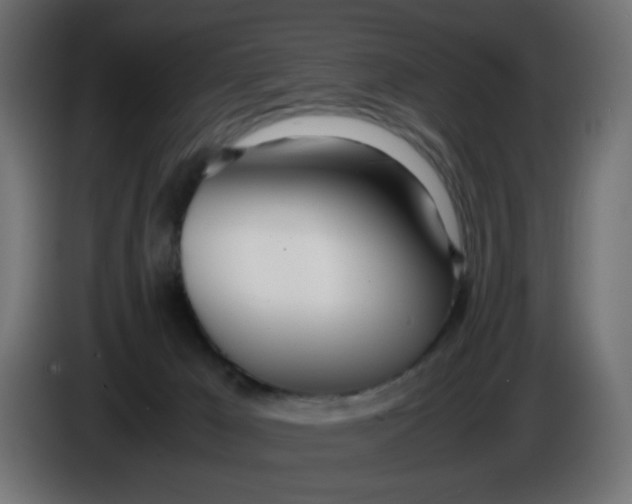 X0000086040029200704131944