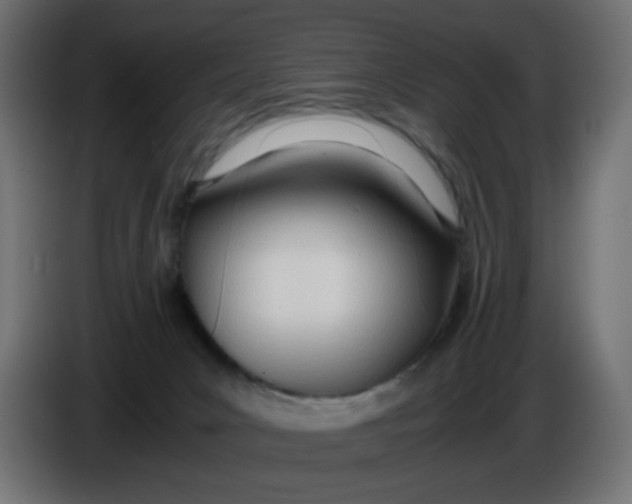 X0000086040031200704131944