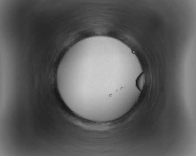 X0000086040032200704131944
