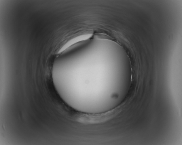 X0000086040033200704131944