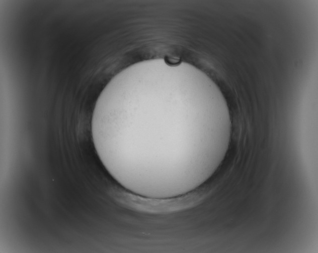 X0000086040034200704131944