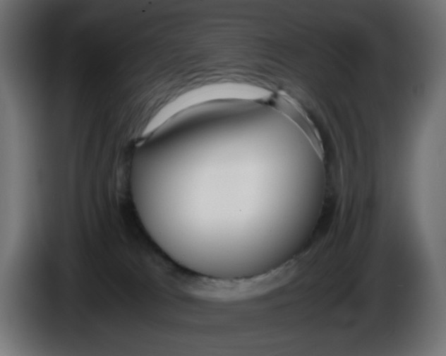 X0000086040037200704131944