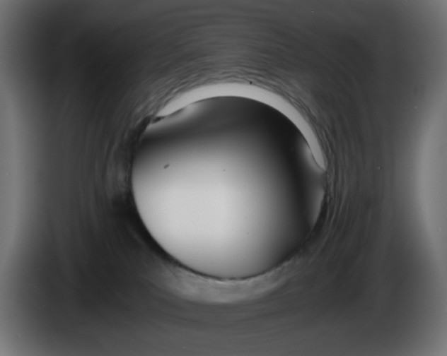 X0000086040039200704131944