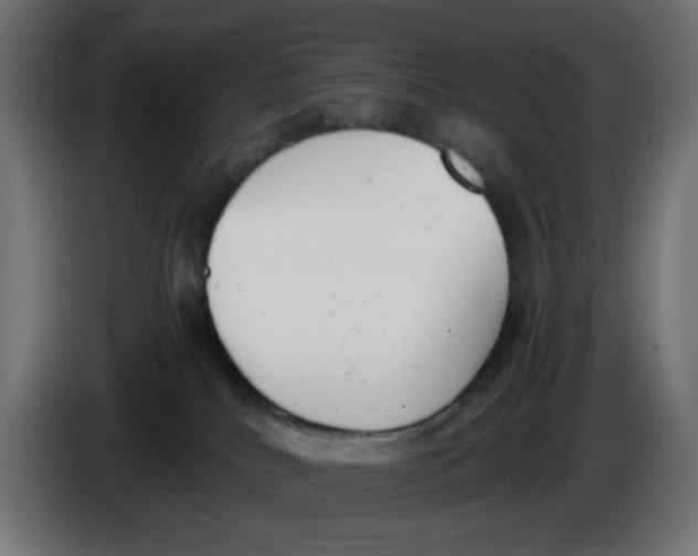 X0000086040040200704131944