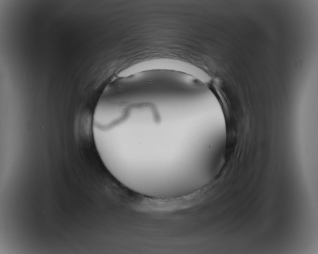 X0000086040041200704131944