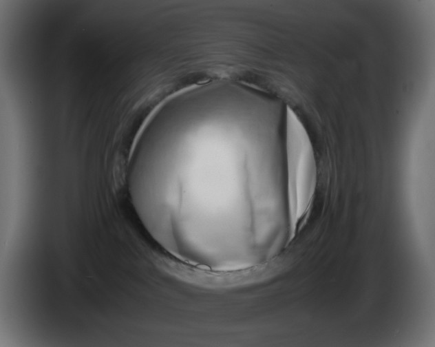 X0000086040043200704131944