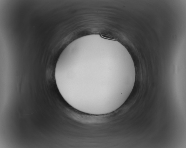 X0000086040044200704131944