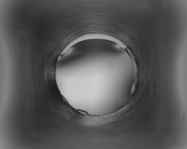 X0000086040045200704131944