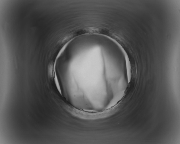 X0000086040047200704131944